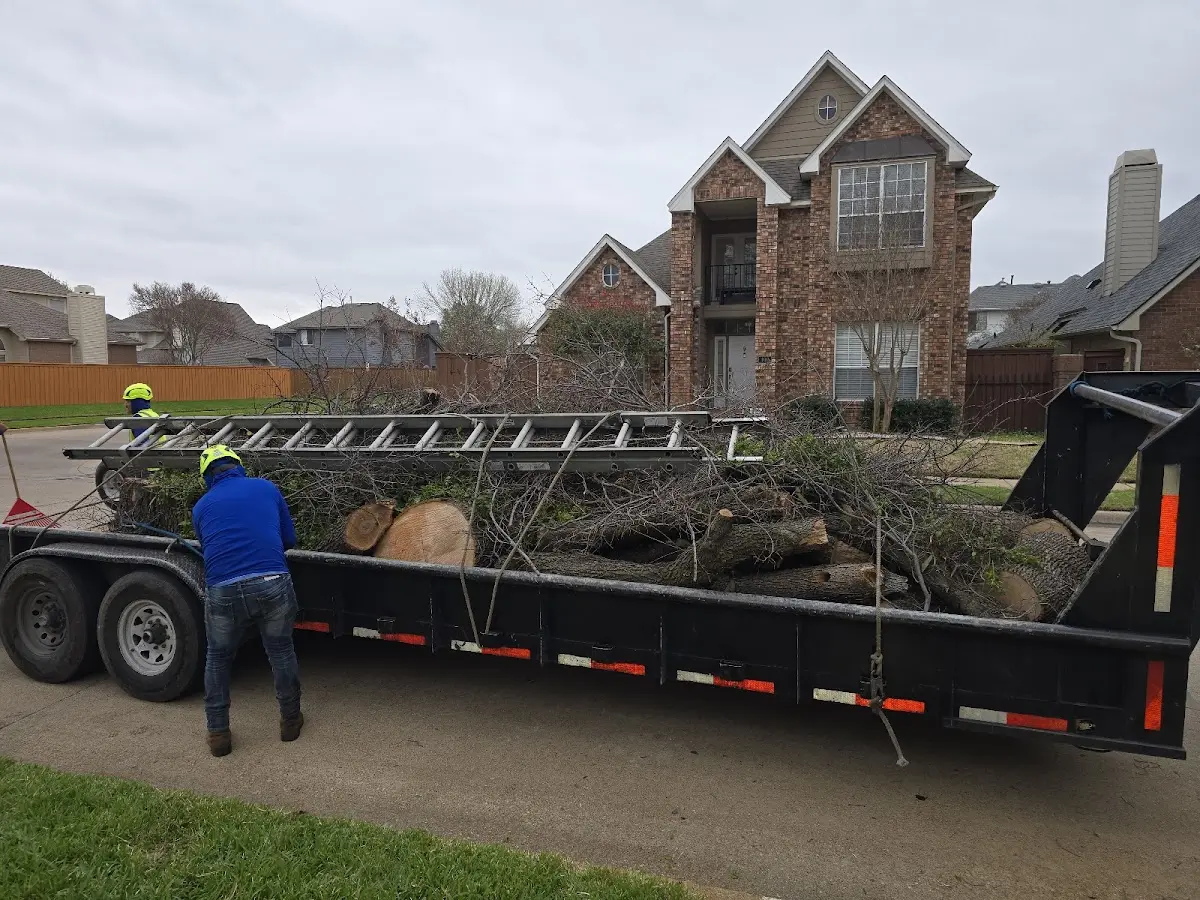 Expert Tree Removal with proper safety equipment in Hart